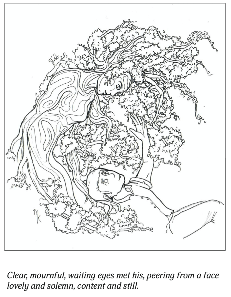 The Beech Tree & Finnian